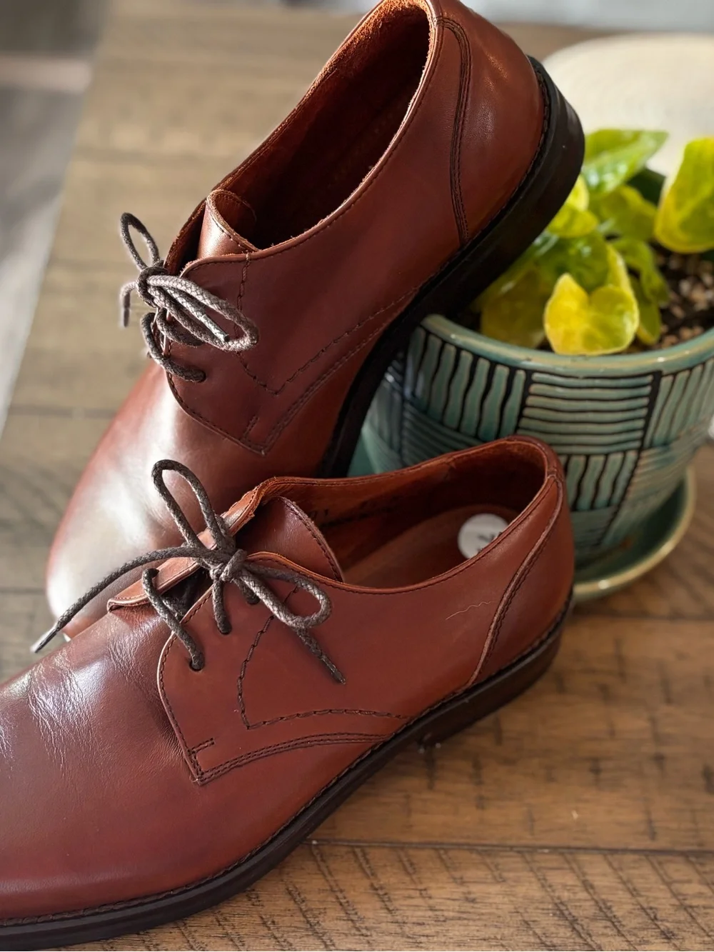 Coach Men’s Brown Leather lace up shoes new without tag 7.5